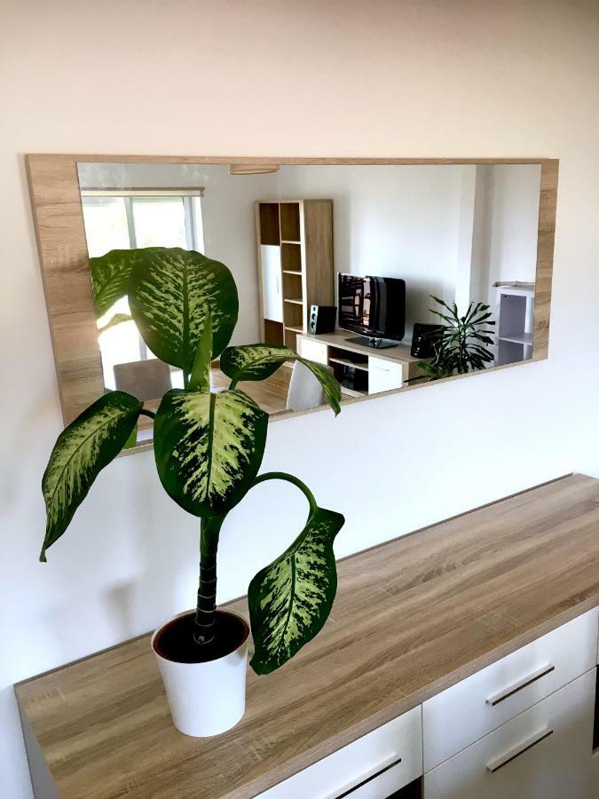 Casa Do O Apartment ปอนตาเดลกาดา ภายนอก รูปภาพ